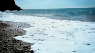 Big Ass Brunette Cindy Strips on the Beach を見る - FREE-FULL-PORN.COM で無料HDポルノ