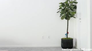 Schau Redhead Willow’s Fire POV – Interracial Casting Action - kostenlose HD Pornos auf FREE-FULL-PORN.COM
